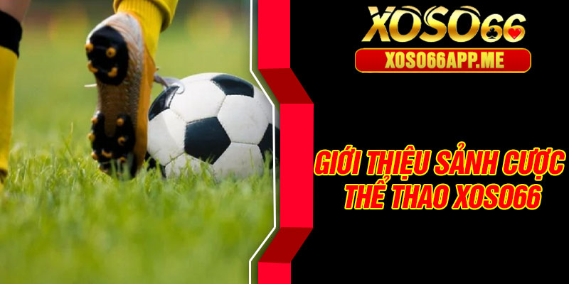 Giới thiệu sảnh cược thể thao Xoso66