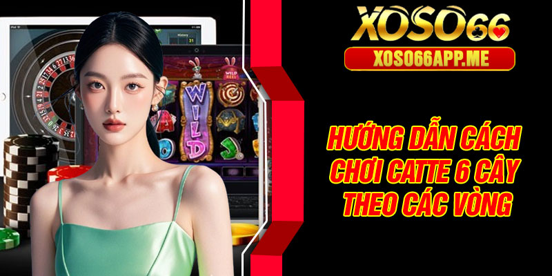 Hướng dẫn cách chơi Catte 6 cây theo các vòng