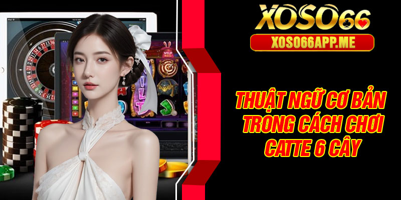 Thuật ngữ cơ bản trong cách chơi Catte 6 cây