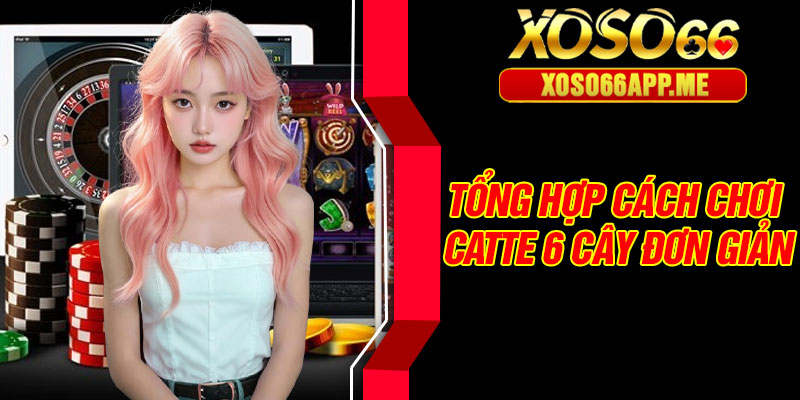 Tổng hợp cách chơi Catte 6 cây đơn giản
